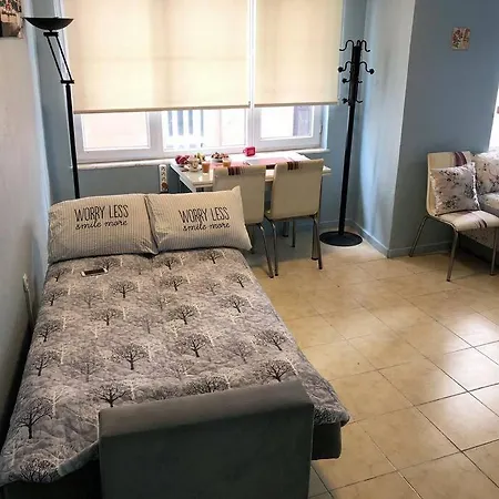 Central Apartament 4' Galata Tower Granbazaar 2' Sea 4' Ferry/metro/tram شقة اسطنبول
