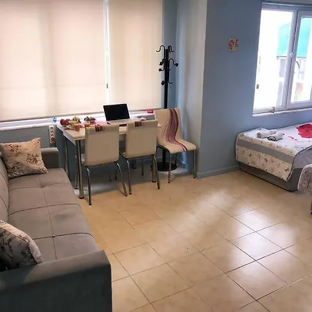 Central Apartament 4' Galata Tower Granbazaar 2' Sea 4' Ferry/metro/tram شقة